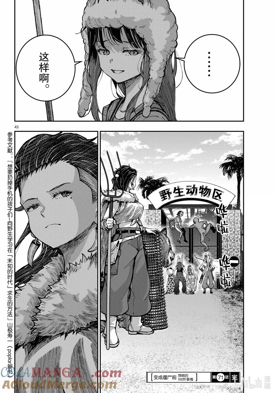 第43页