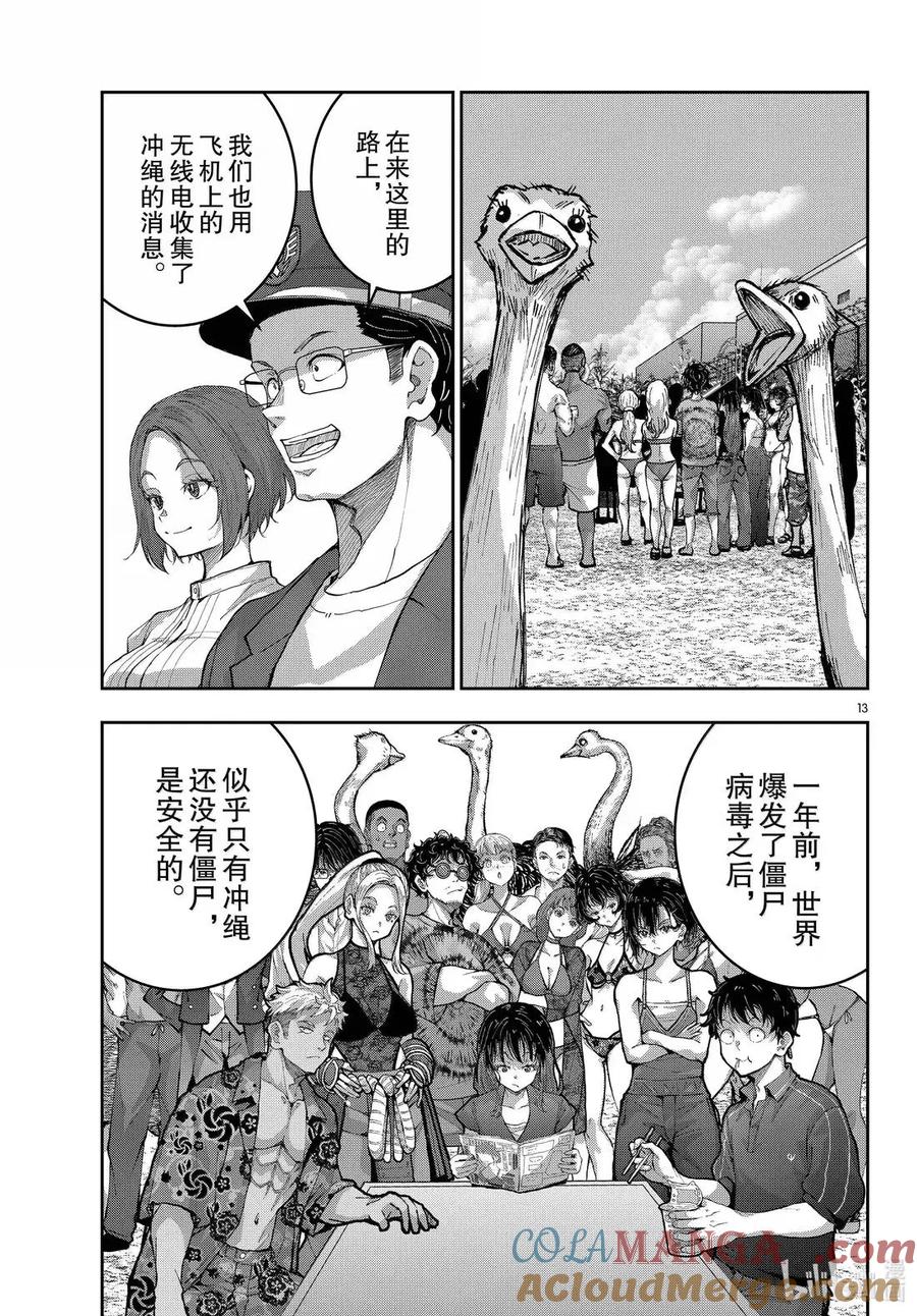 第13页
