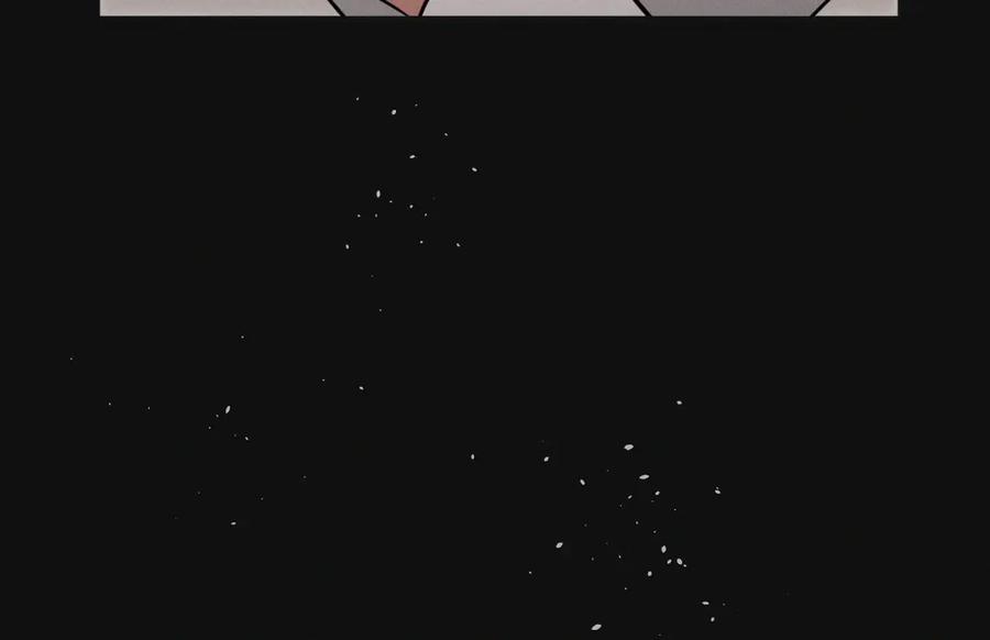 第242页