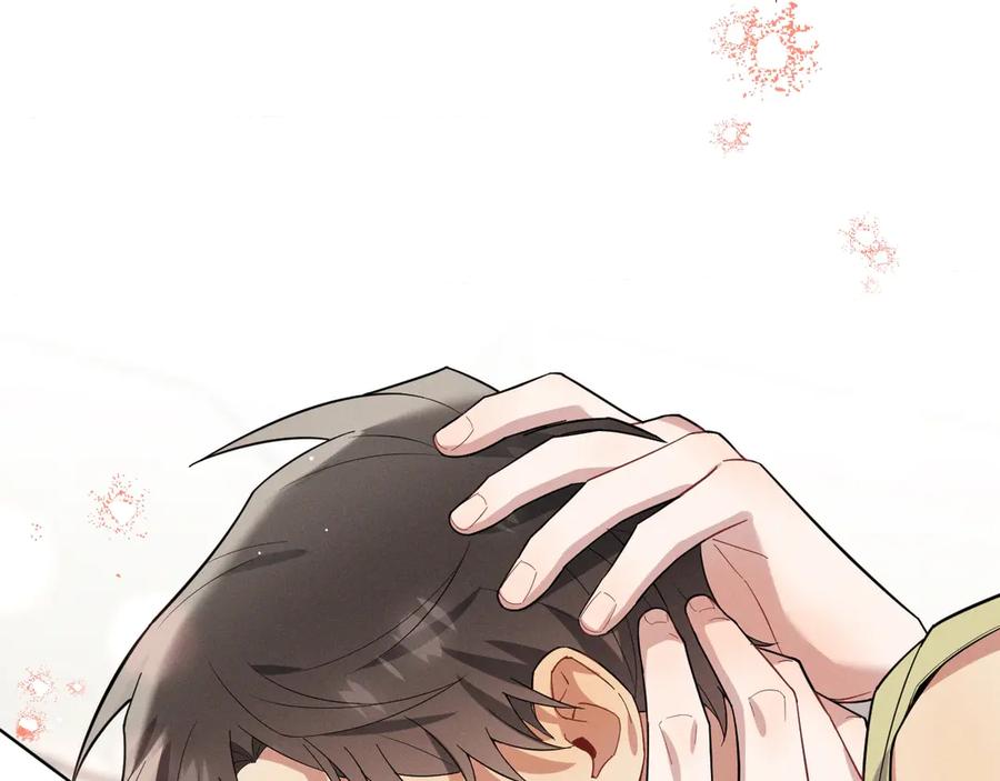 第217页