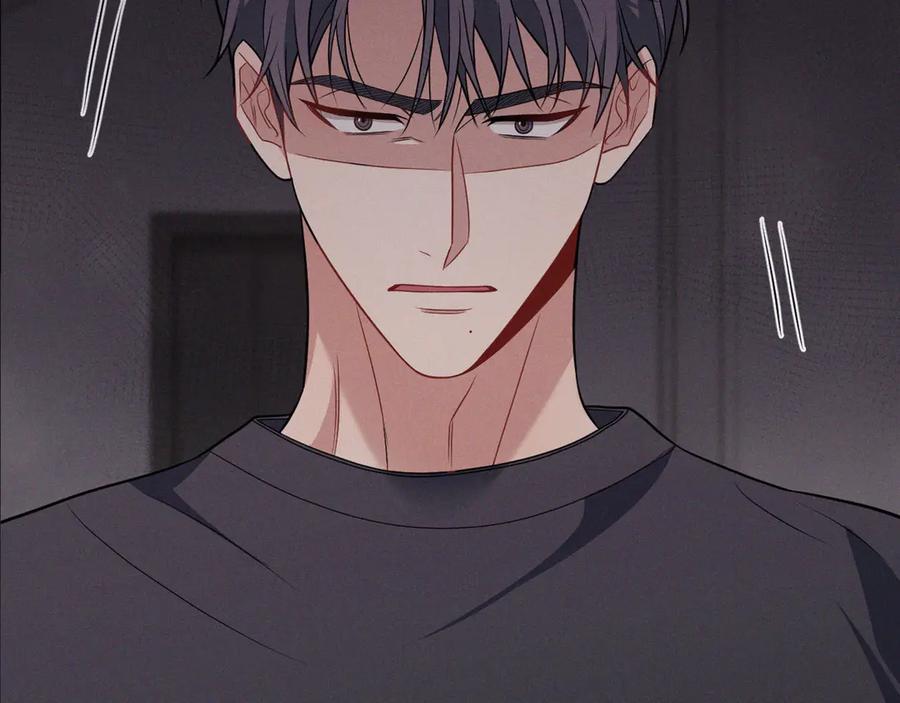 第246页