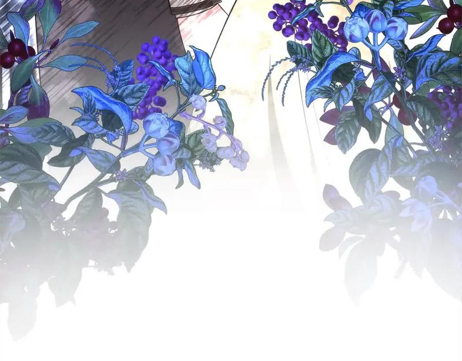 第242页