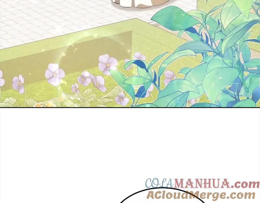 第217页
