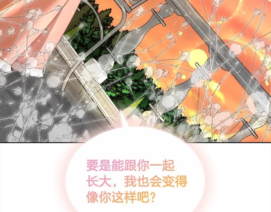 第222页