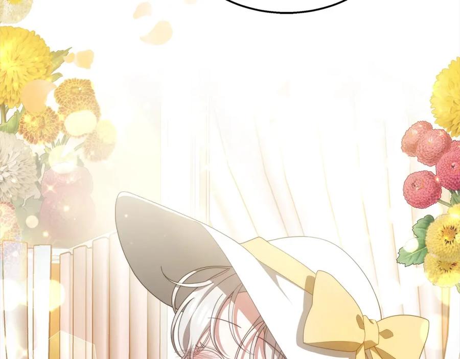 第223页