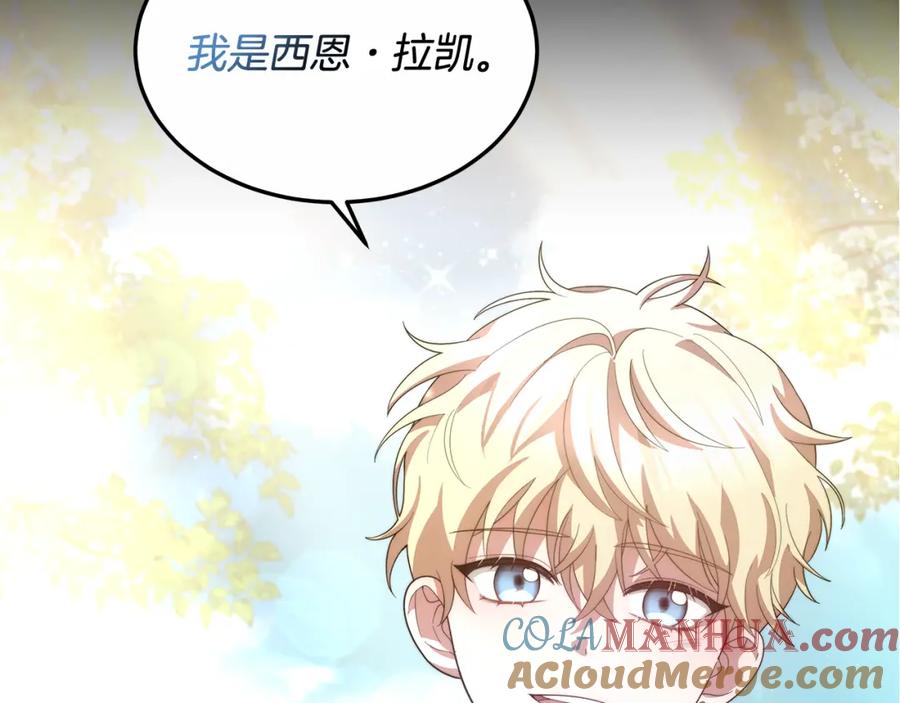 第205页
