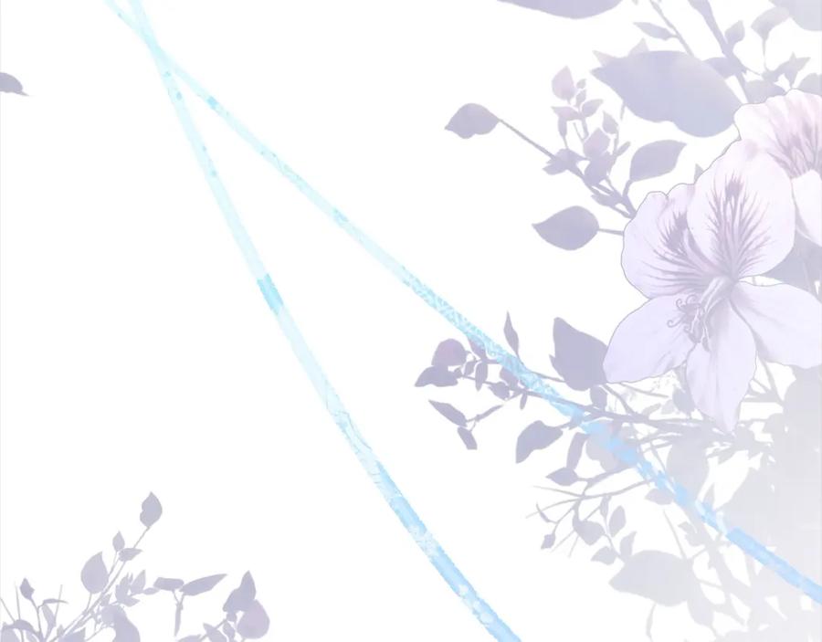 第223页