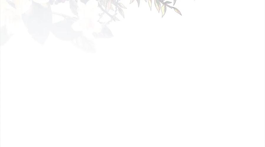 第255页