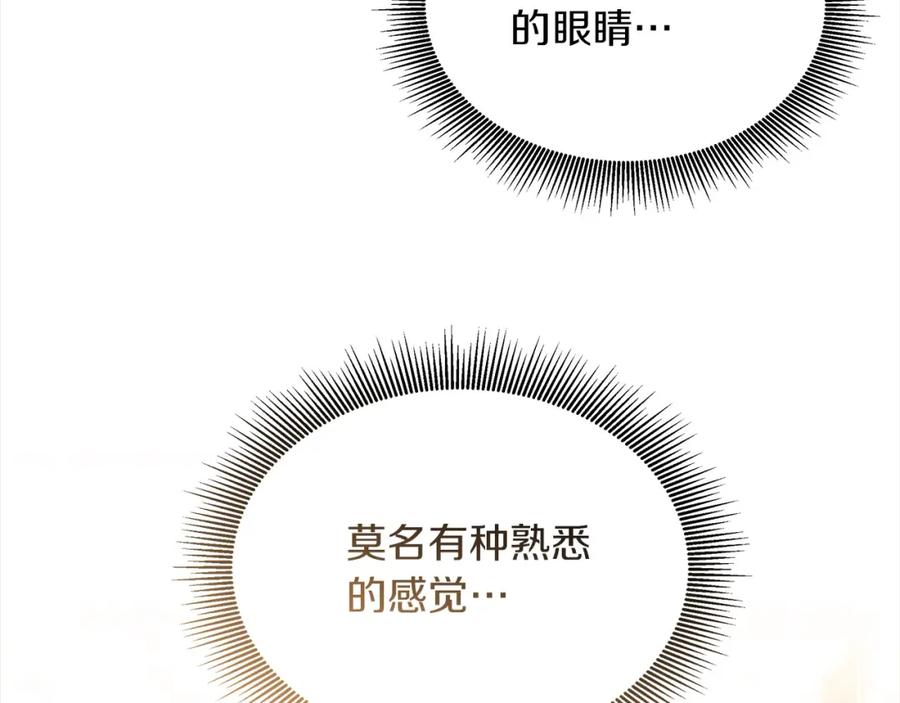 第248页