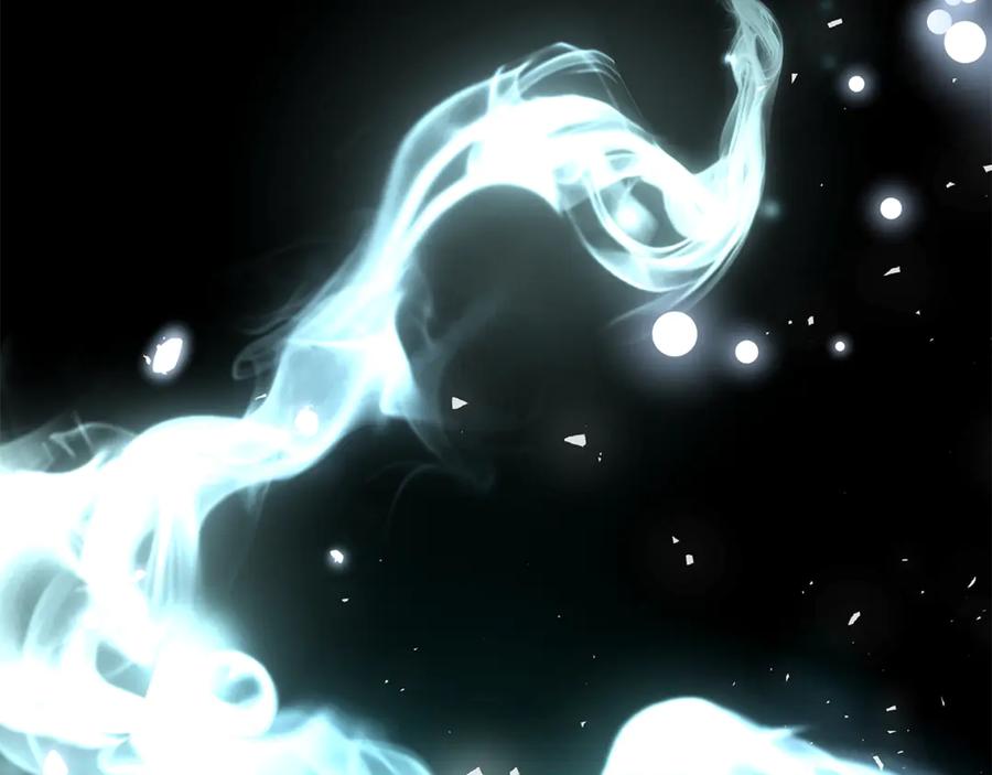 第219页