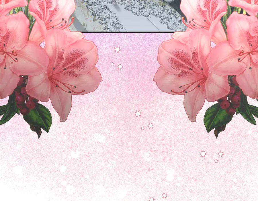 第238页