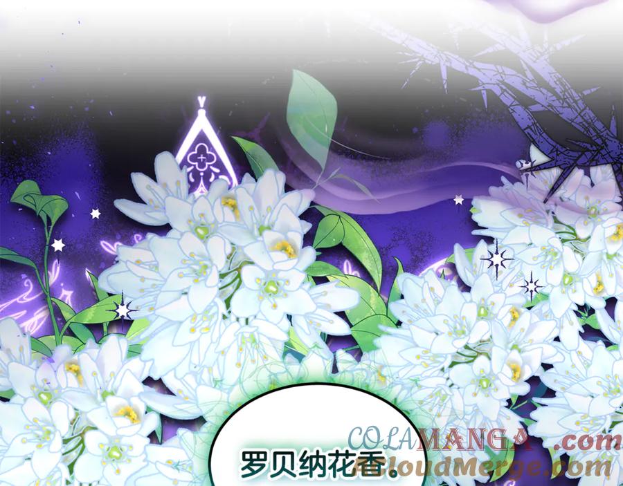 第289页