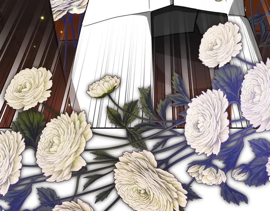 第244页