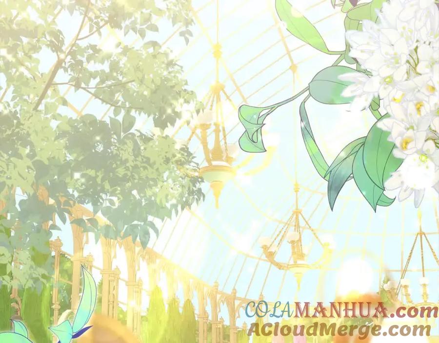 第213页