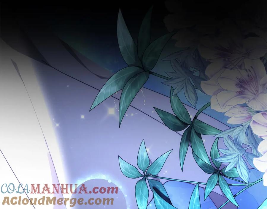 第241页