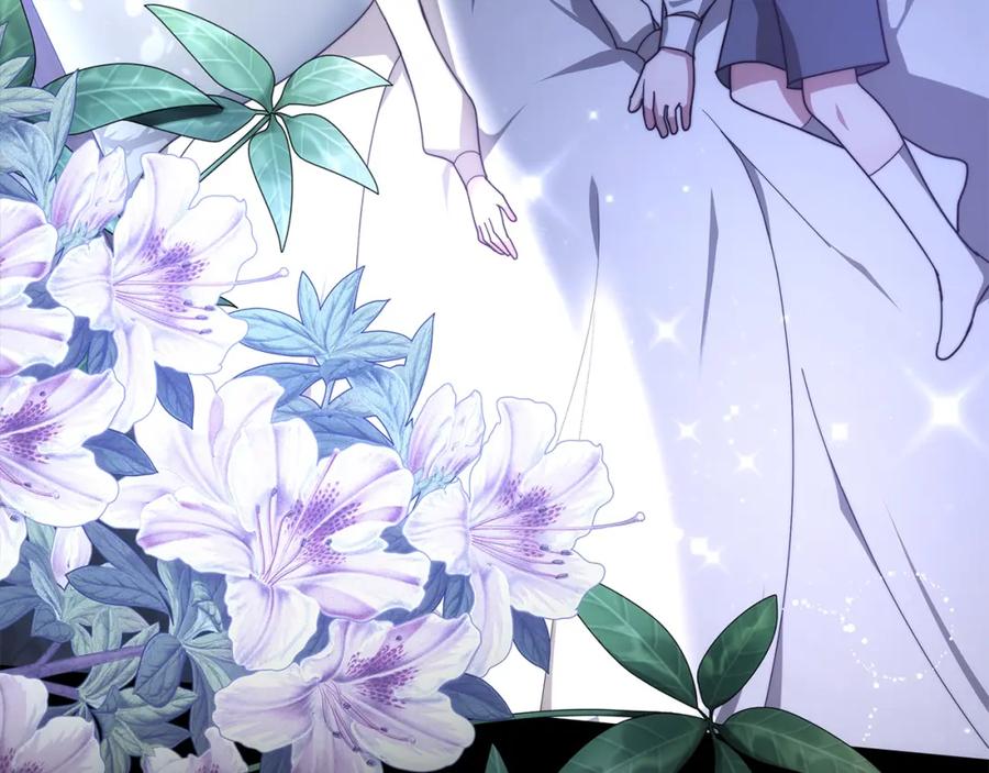 第243页