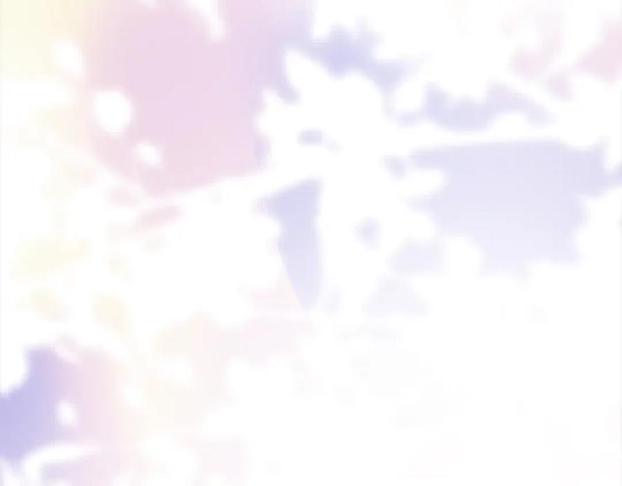 第206页