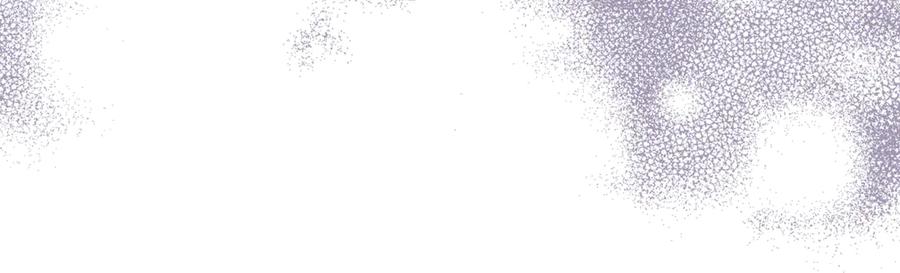 第542页