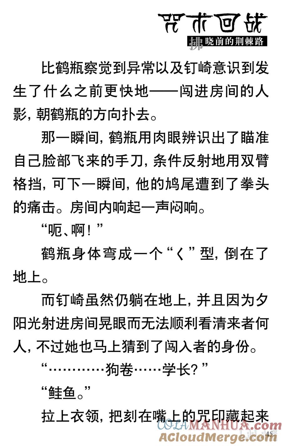 第46页