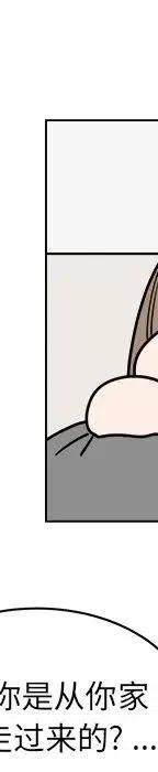 第262页
