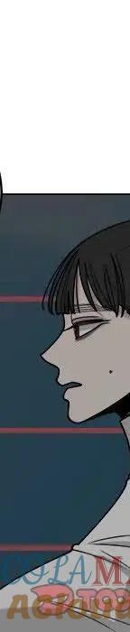 第229页