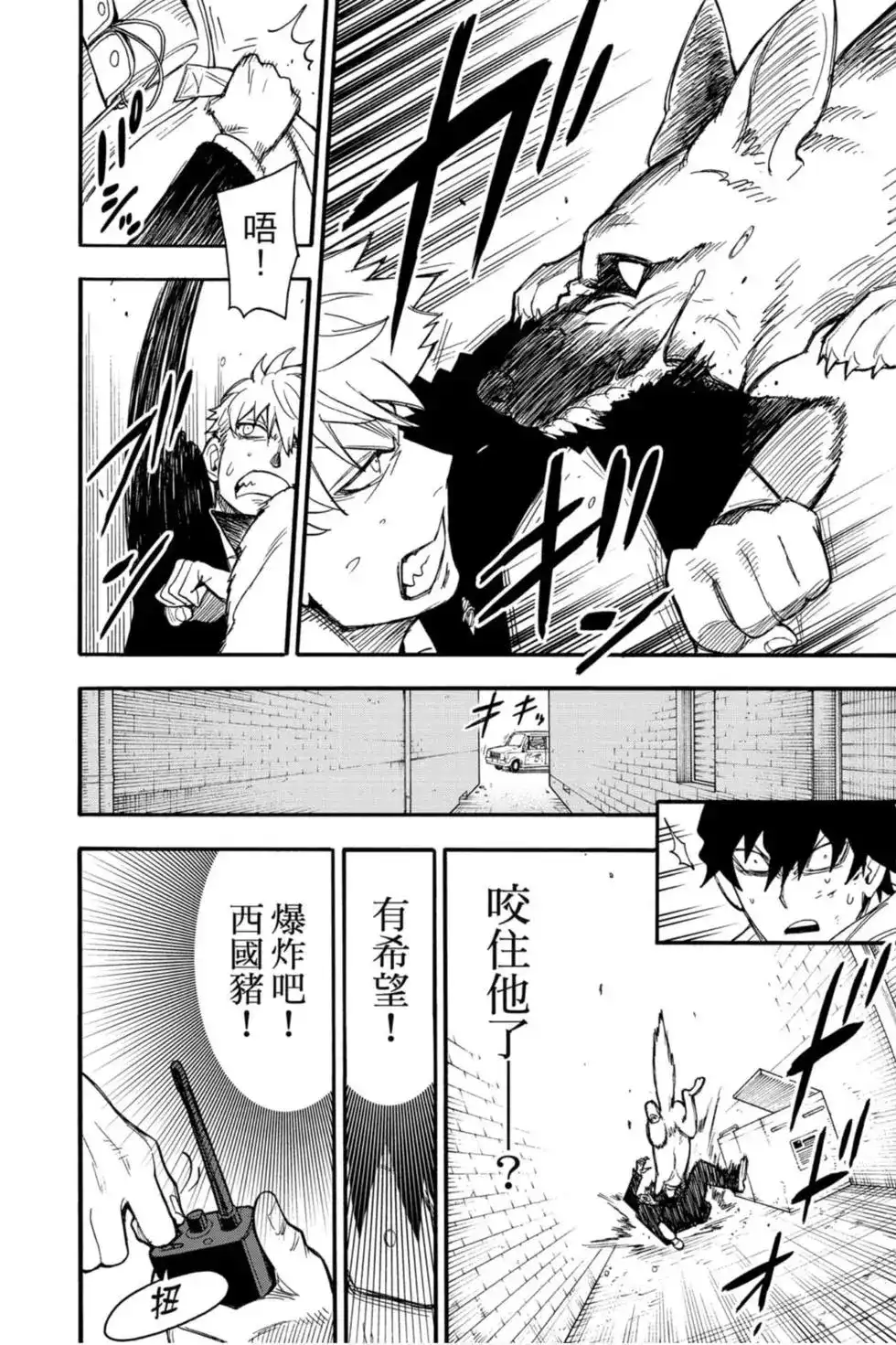 第113页