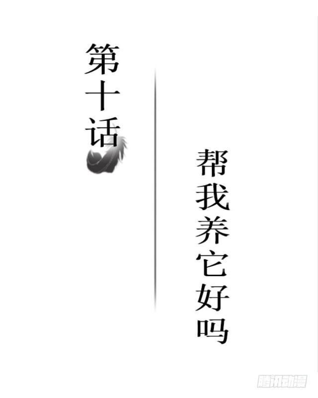 黑天鹅 第十话 帮我养它好吗？ 第2页