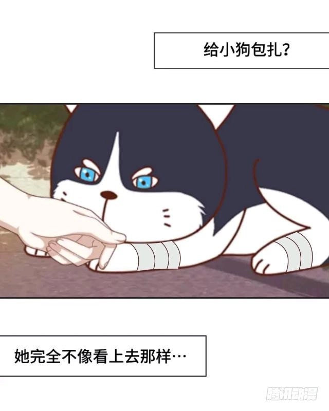 黑天鹅 第十话 帮我养它好吗？ 第21页