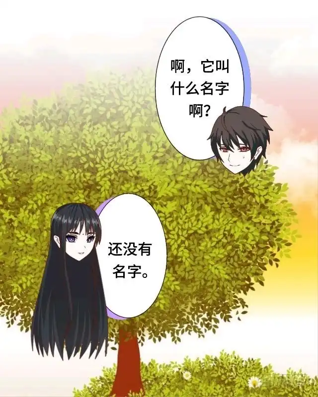 黑天鹅 第十话 帮我养它好吗？ 第32页