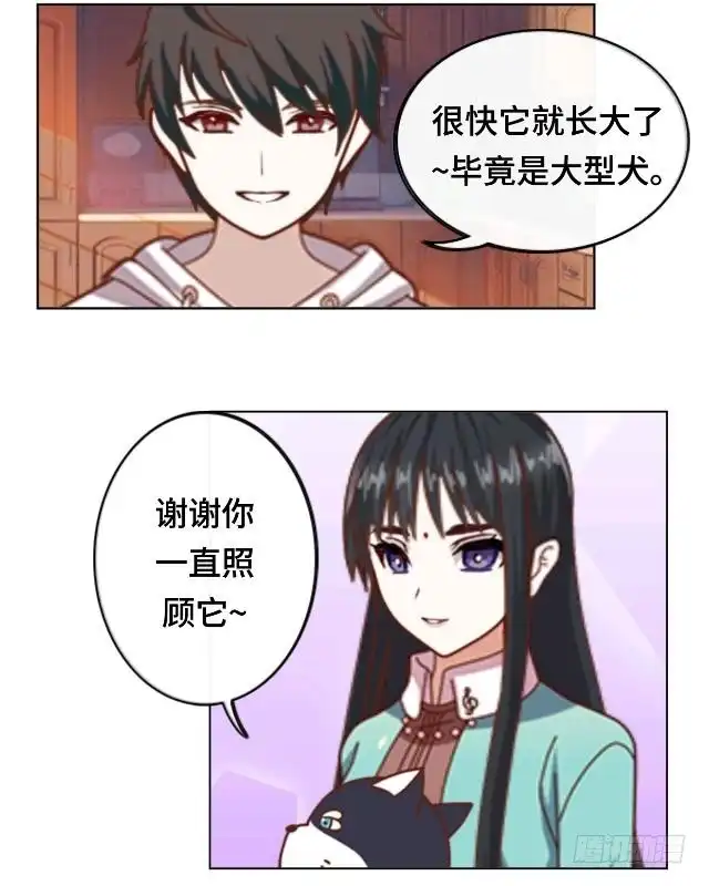 黑天鹅 第十一话 这不属于我吧 第11页