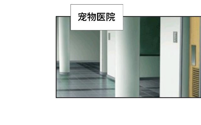 黑天鹅 第十三话 他们的关系 第26页