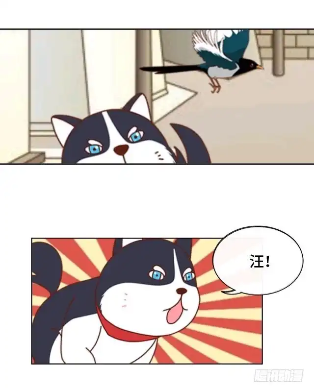 黑天鹅 第十三话 他们的关系 第7页