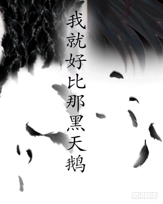黑天鹅 序 我就好像黑天鹅 第12页