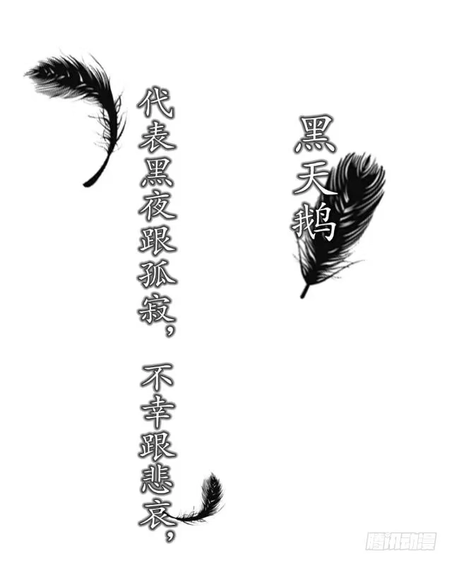 黑天鹅 序 我就好像黑天鹅 第3页