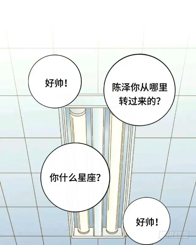 黑天鹅 第六话 明明看着那么冷 第4页