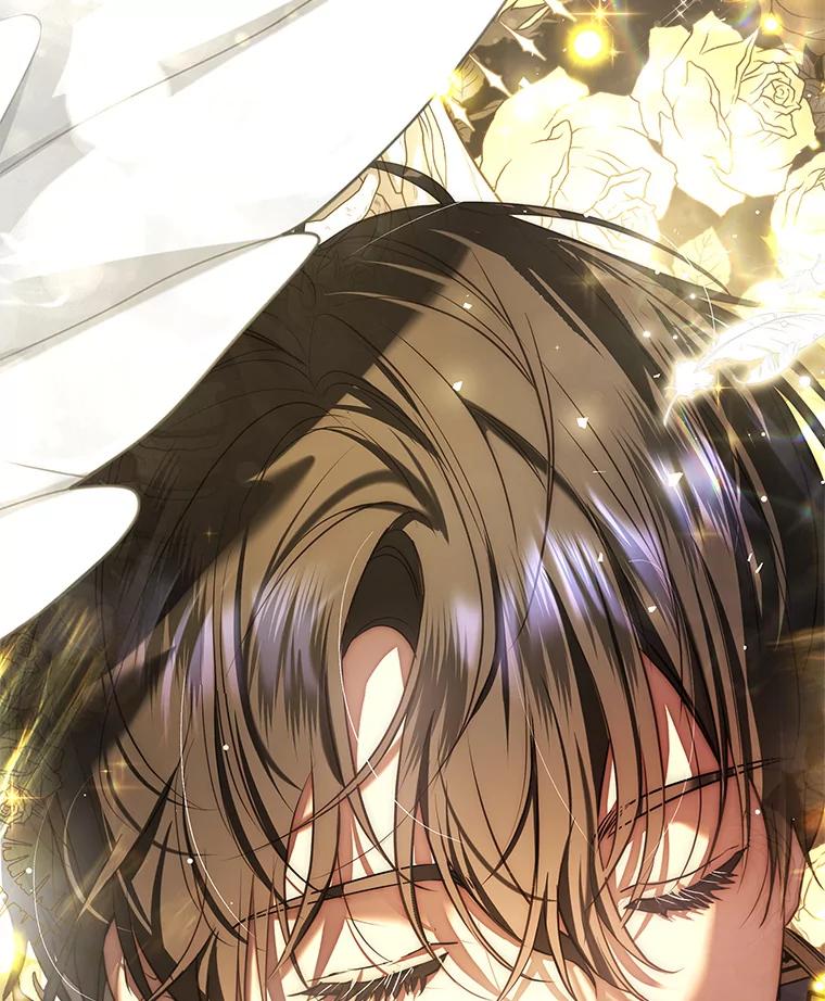 第459页