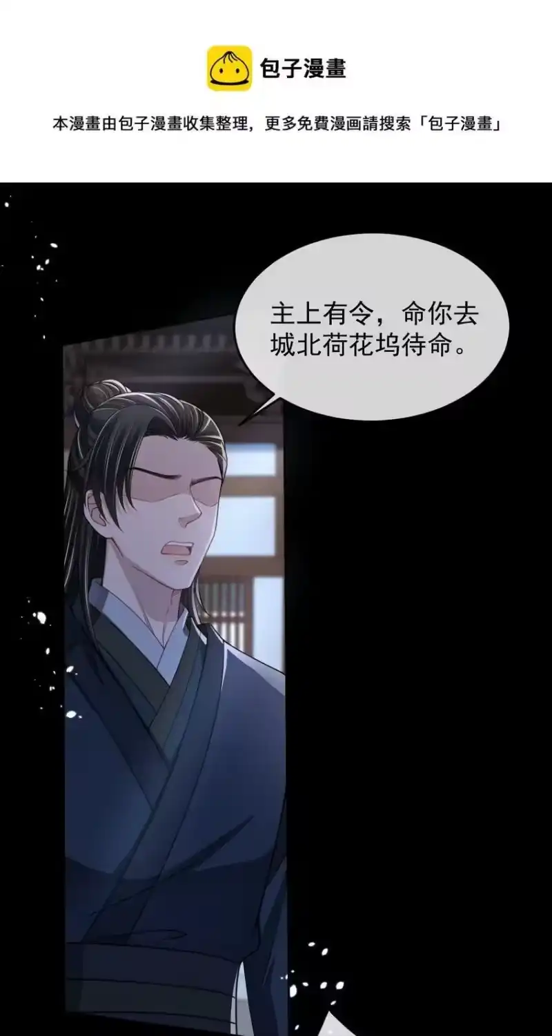 影卫难当_h 008 真的是主上！ 第17页