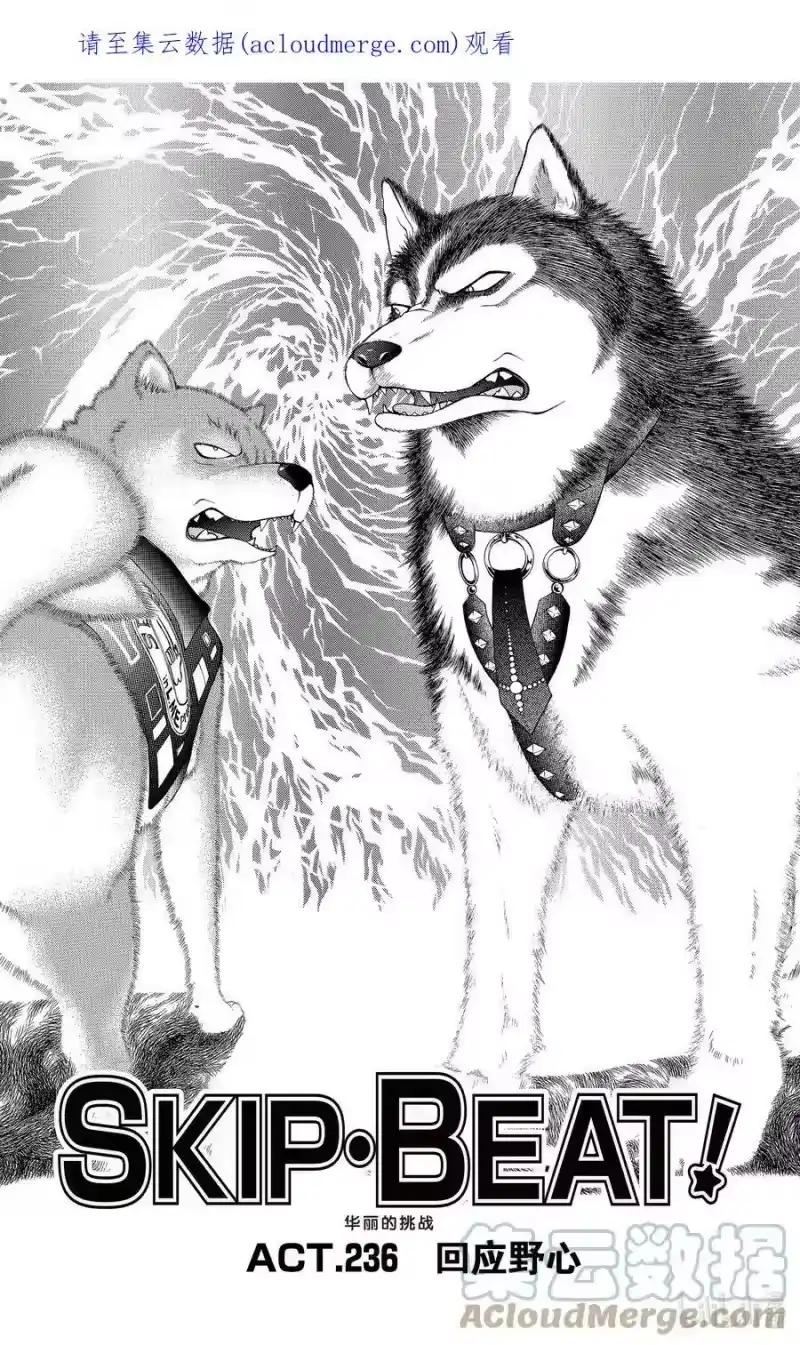 SKIP·BEAT！ (华丽的挑战)_h 236 回应野心 第1页