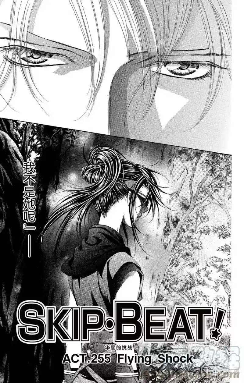 SKIP·BEAT！ (华丽的挑战)_h 255 Flying Shock 第5页