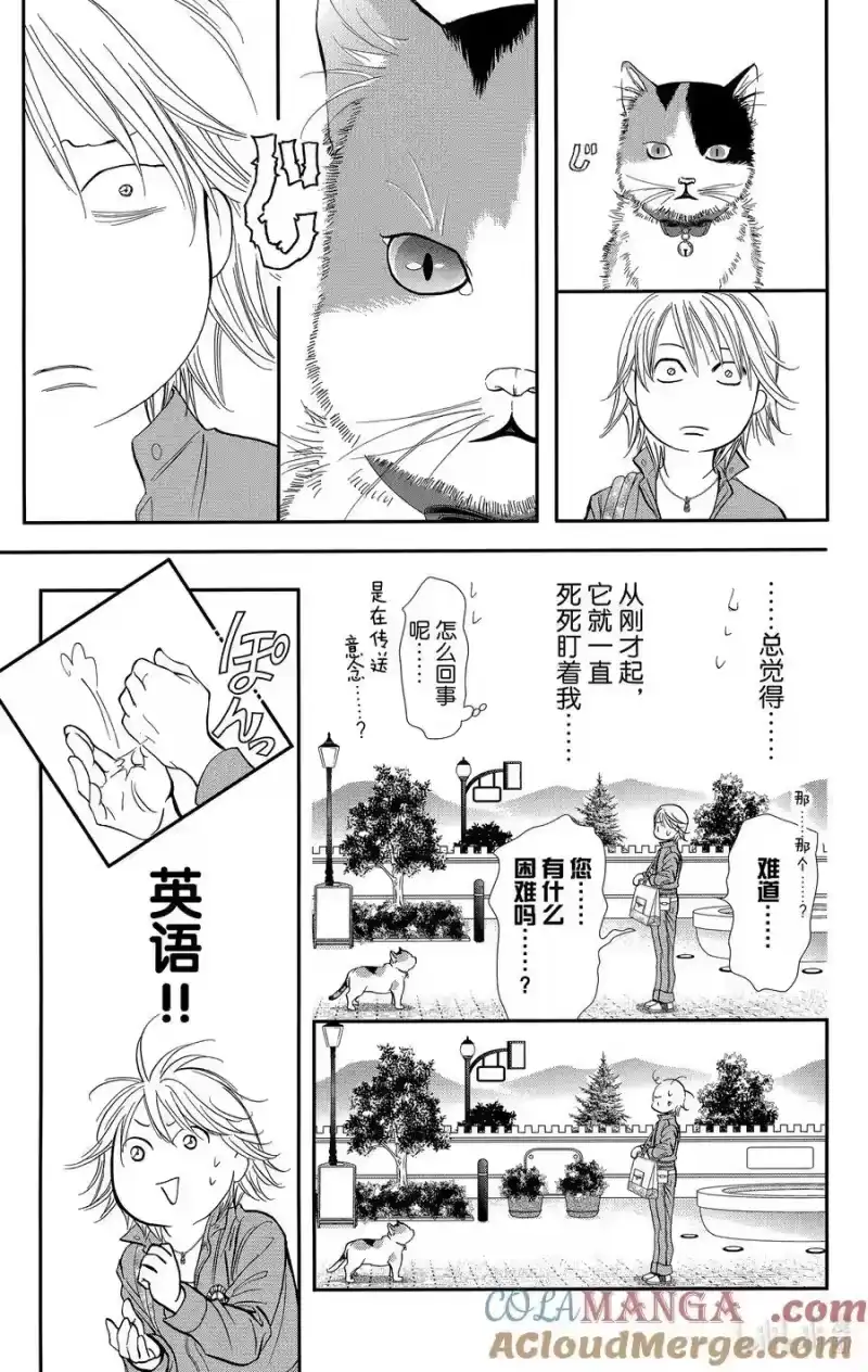 SKIP·BEAT！ (华丽的挑战)_h 314 命运的Grand Cross——地上之星汇集的瞬间 第17页