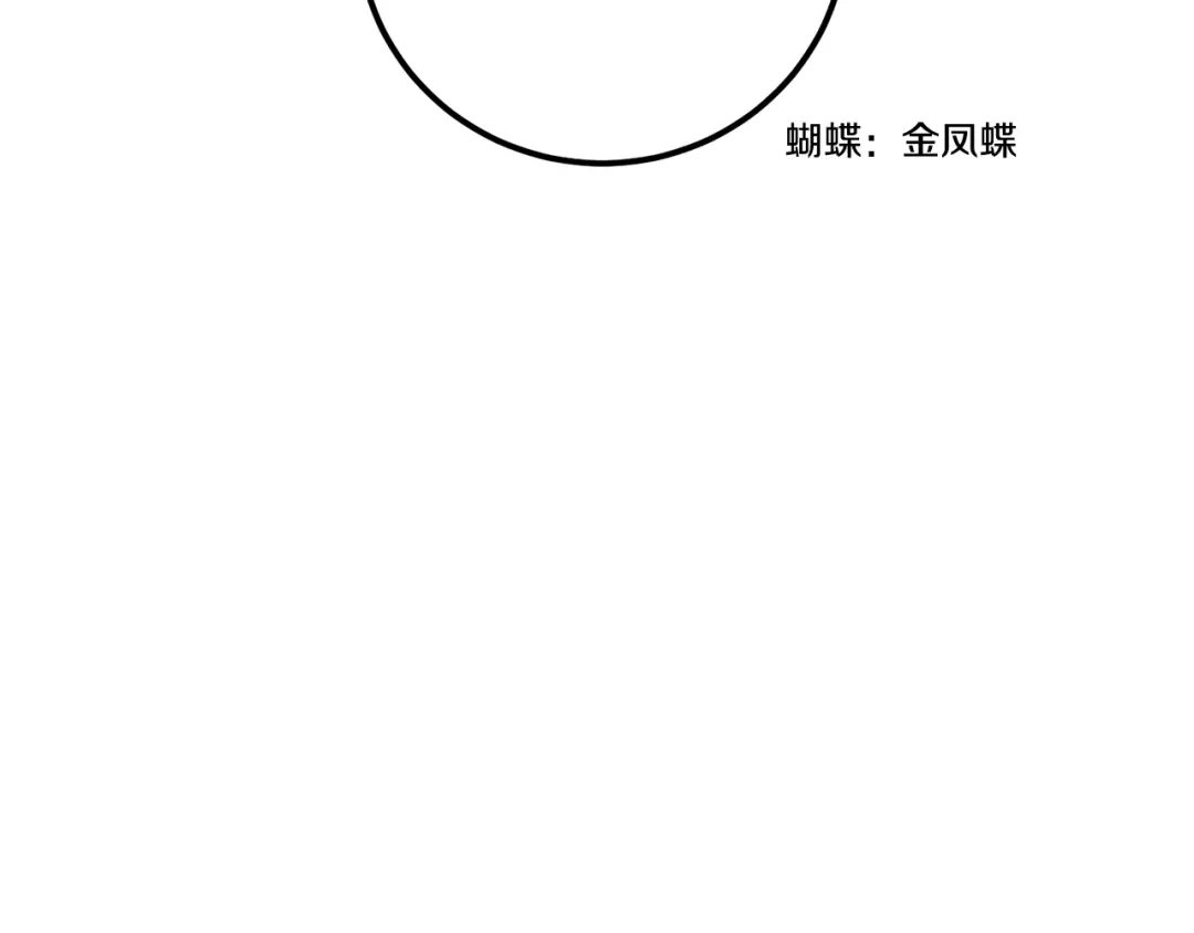 醉蝶冷月 第37话 蝴蝶剑 第75页