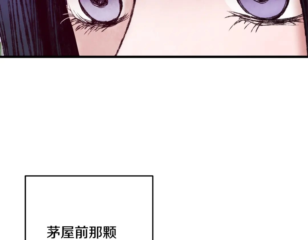 醉蝶冷月 第47话 魔种？ 第14页