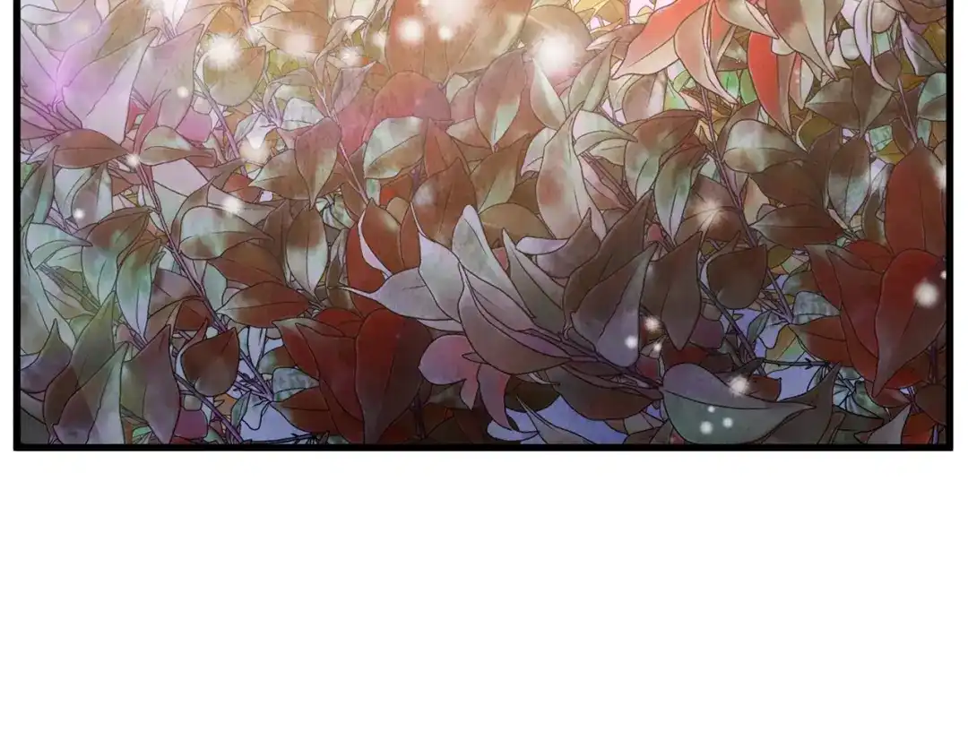 醉蝶冷月 第58话 蝴蝶害了母亲？ 第74页