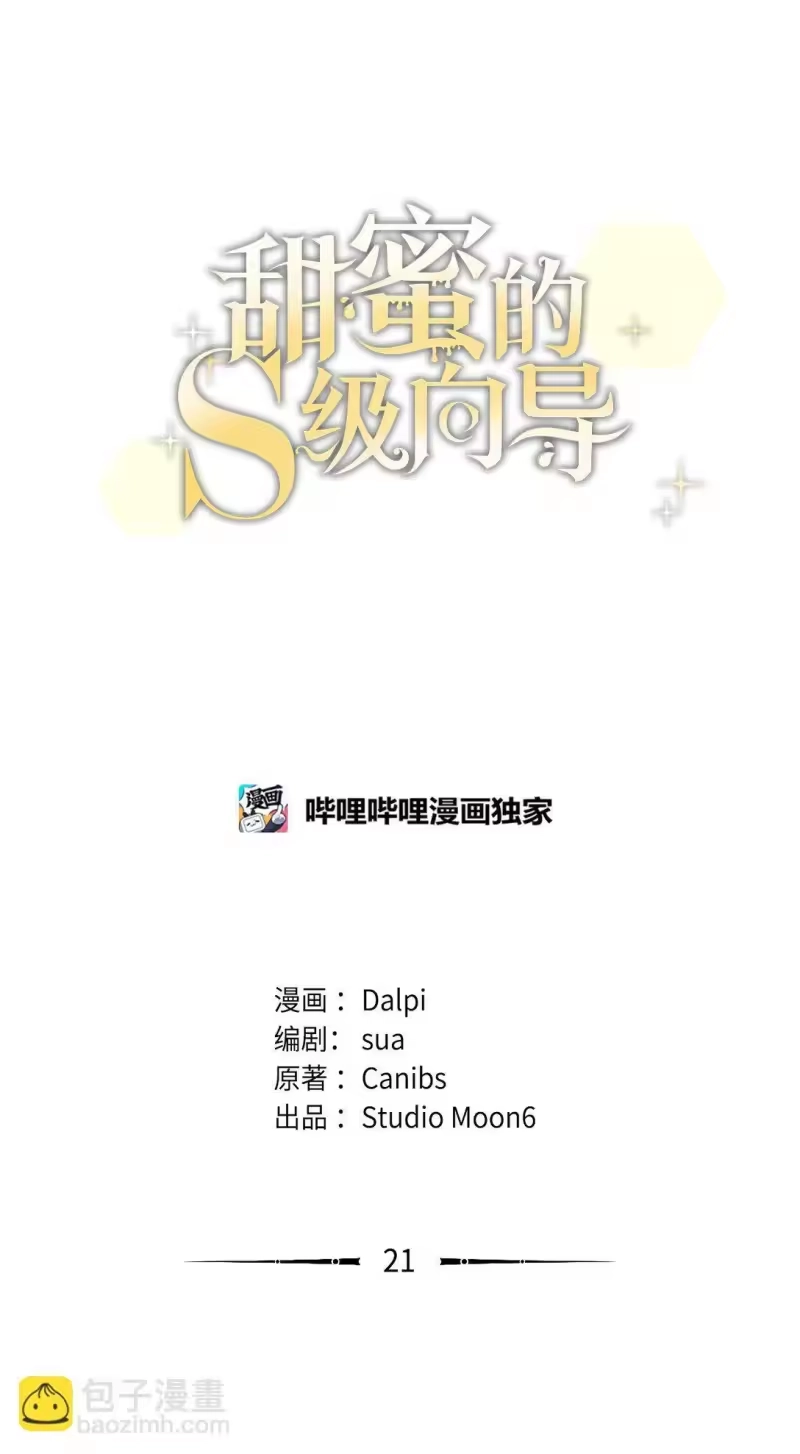 甜蜜的S级向导_h 21 贿赂 第3页