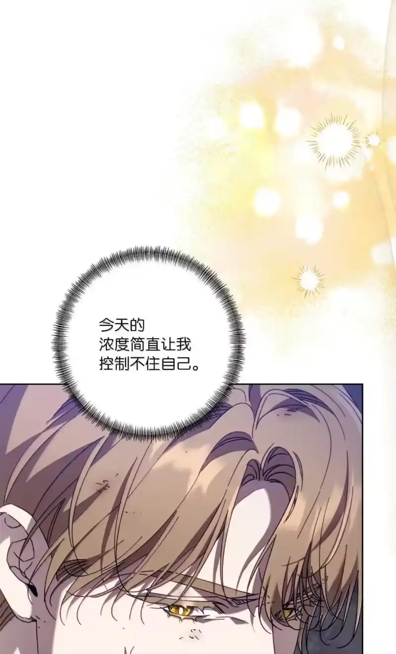 甜蜜的S级向导_h 45 固执的二人 第52页