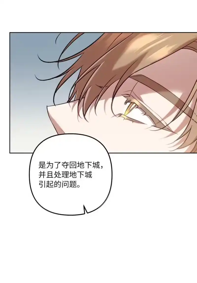 甜蜜的S级向导_h 55 公会的存在意义 第39页
