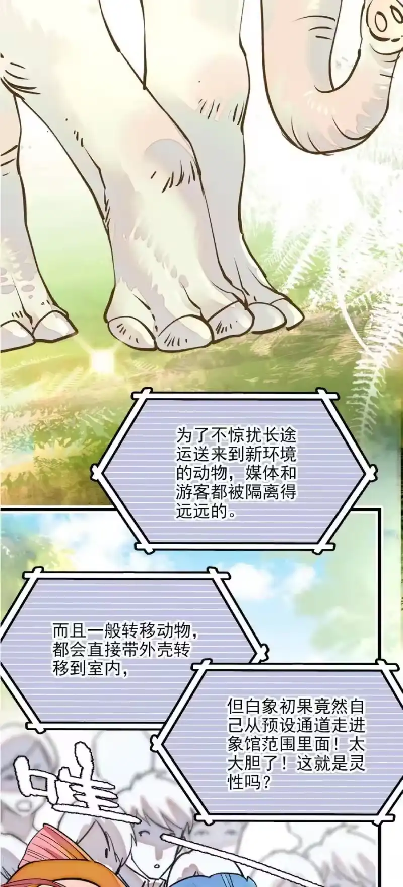 我开动物园那些年_h 108 脑补上线 第4页