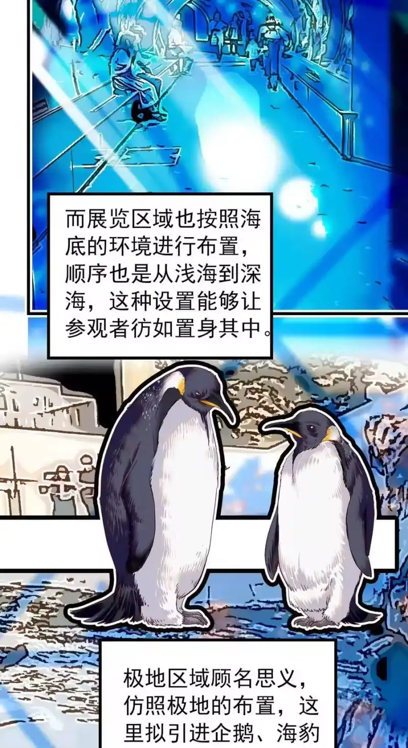 我开动物园那些年_h 125 摸鱼！摸鱼！ 第3页