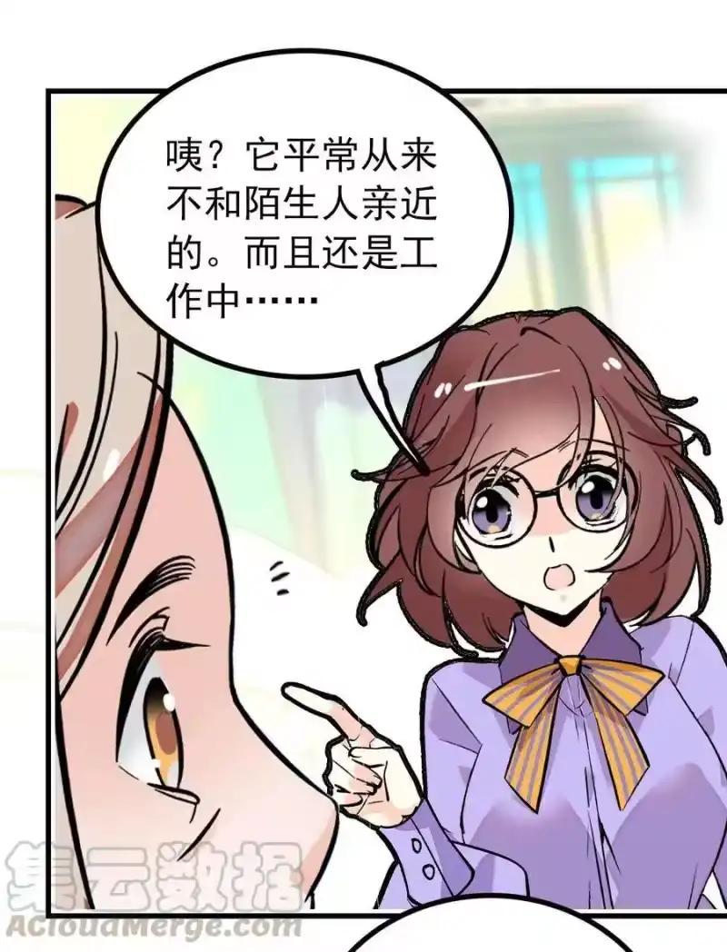 我开动物园那些年_h 126 与小狗喜相逢 第25页