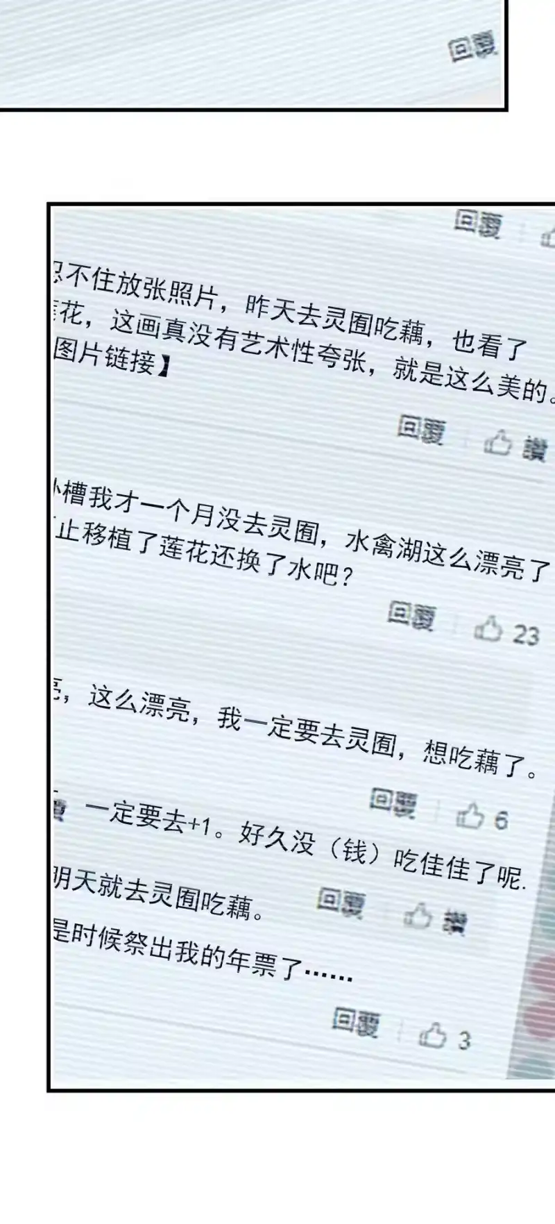 我开动物园那些年_h 142 这条金鱼到底哪里好看？ 第12页